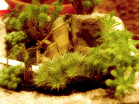 Landscape from Philadelphia Flower Show