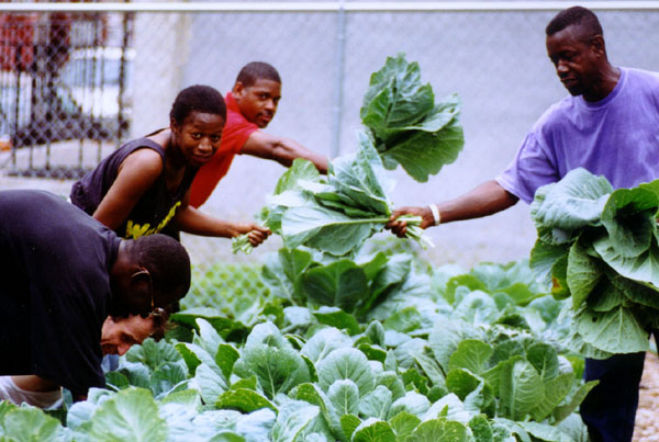 volunteers with greens